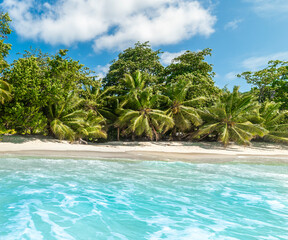Obraz premium Turquoise water and white sand in a tropical beach