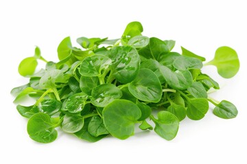 Organic watercress on white background