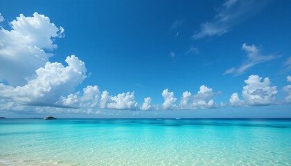 Fototapeta premium Serene Beach Landscape with Clear Blue Sky and Gentle Waves