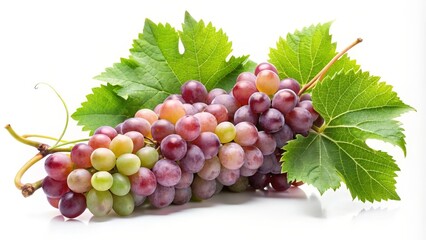 Fototapeta premium Red and Green Grapes with Leaves