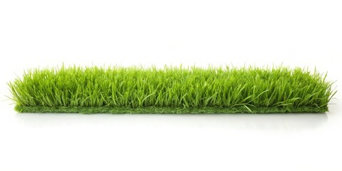 Naklejka premium Green Grass Strip on White Background