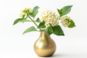 A golden vase adorned with delicate white flowers showcasing elegance and simplicity against a clean, minimalist backdrop isolated on transparent background © BANO'S
