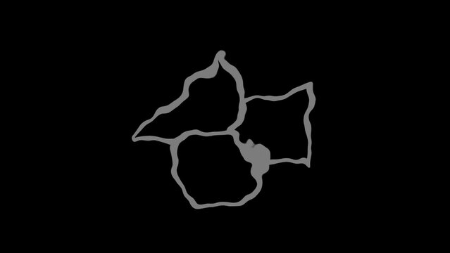 Kinetic Wave Logo Reveal