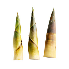 Bamboo Shoots Trio: Three vibrant bamboo shoots, varying in size and shades of green and yellow, stand upright against a clean background, showcasing their unique textures and delicate forms.  