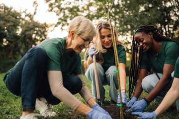 Group of volunteers planting trees in park