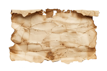 A piece of aged parchment lies exposed, displaying intricate creases and a warm, toasted color that evokes the charm of ancient manuscripts, inviting curiosity