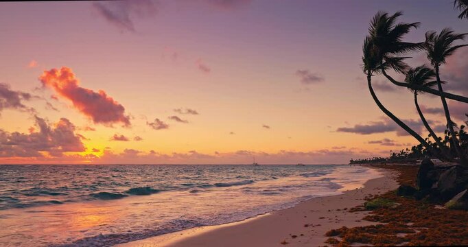Ocean beach sunrise with palms on tropical island shore, paradise exotic nature, landscape summer travel caribbean vacation