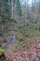 Bachlauf im Wald