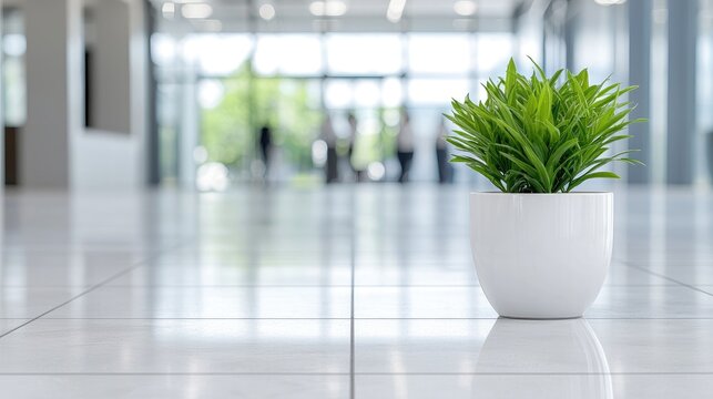 Small green plant in a white pot sits on a polished tiled floor in a bright, modern corporate office lobby with blurred people in the background.