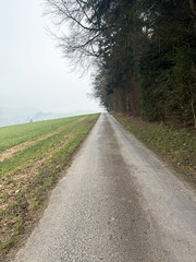 A dirt road stretching through a green countryside landscape under a cloudy sky. Power lines are visible on the left, adding contrast to the natural surroundings. 