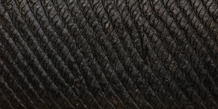 「浅黒い肌」の写真素材 | 7,118件の無料イラスト画像 | Adobe Stock
