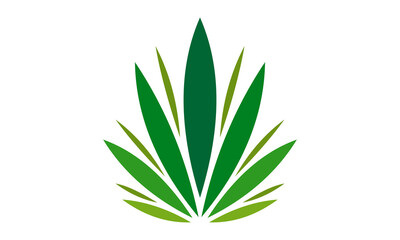 simple leaf logo design