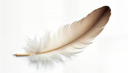 Obraz premium Close-up view of single white feather. Softness, purity highlighted by feather smooth texture against white background. Delicate feather shows soft gradation of color. Natural light highlights detail