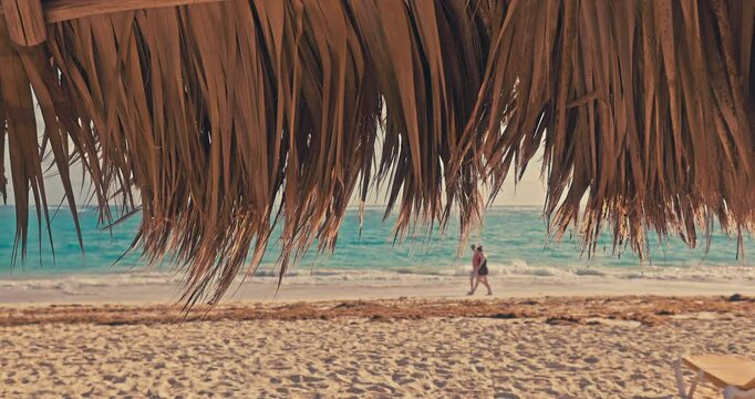 Tropical island beach resort  seafront view of caribbean sea . Punta Cana, Dominican Republic