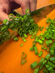 person cutting vegetables green spring onion