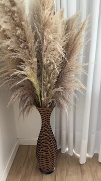 vaso com capim dos pampas decorativo 