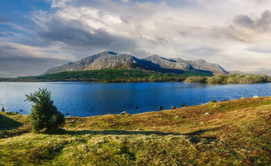 A beautiful lake with a cloudy sky in the background. The sky is filled with clouds, and the water is calm and clear. The scene is peaceful and serene, with a lone tree standing near the water.