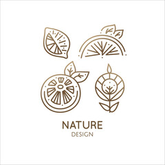 Set icons citrus fruits. logo of lemon, orange, grapefruit sliced, flower, plant leaves.