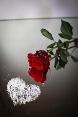 red rose of a heart