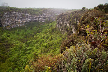 Los Gemelos Isla Santa Cruz. Galápagos