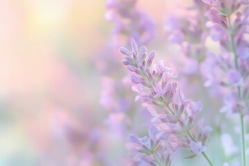 Fototapeta premium serene abstract spring background for versatile digital use