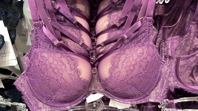 Colorful firm Rose and Petal lingerie. Bright stylish female underwear. Showcase with new lingerie at the boutique. Close-up