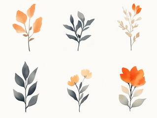 6 separate flower and plant leaves, floral artwork  isolated on a white background, beautiful watercolour flower shapes, graphic design resource