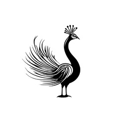 Elegant Peacock Silhouette: Monochrome Bird Illustration, Nature-Inspired Design, Vector Graphic