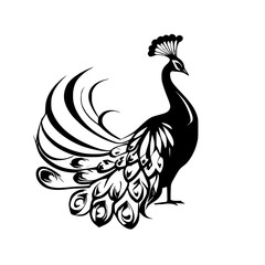 Majestic Peacock: Elegant Black and White Bird Illustration.  A stunning graphic design featuring a peacock's ornate tail feathers, perfect for nature lovers and art enthusiasts.