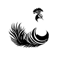 Monochrome Peacock: Elegant Bird Illustration, Abstract Feather Design, Black and White Wildlife Art Graphic