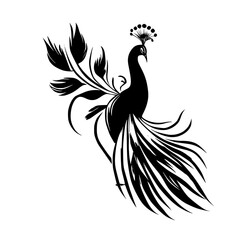 Obraz premium Elegant Black Peacock Silhouette: A Monochrome Bird Illustration