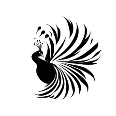 Majestic Peacock: Black and White Stylized Bird Illustration