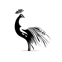 Fototapeta premium Elegant Peacock Silhouette: Black and White Bird Illustration