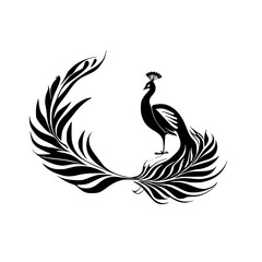 Obraz premium Elegant Peacock Silhouette: Black and White Bird Art Print. A stunning graphic design featuring a peacock with ornate feathers, perfect for home decor or nature-themed projects.