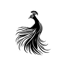 Elegant Peacock: Black and White Bird Feather Design.  A stunning monochrome illustration of a peacock, perfect for nature lovers and art enthusiasts.