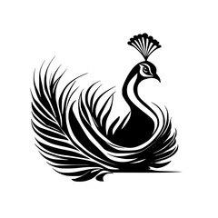 Fototapeta premium Elegant Peacock Feather Design: Black and White Bird Illustration