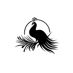 Elegant Peacock Silhouette: A Monochrome Bird Illustration