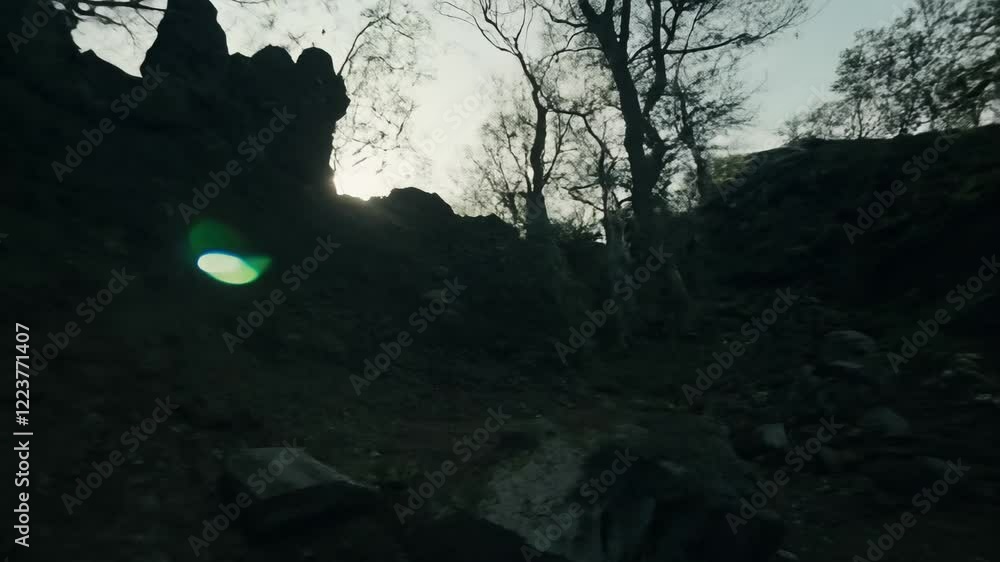 Poster handheld, shaky motion video focuses on ancient stones with sharp edges and twisted tree trunks with