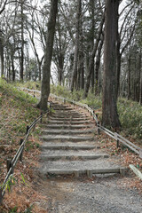 公園の階段