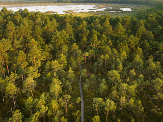 Obraz premium Panorama of Seli bog from above. A wooden boardwalk winds through a green forest.