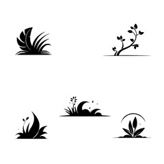 Fototapeta premium Collection of Elegant Plant Silhouettes: Botanical Vector Graphics for Design Projects