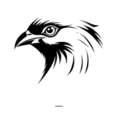 Fototapeta premium Majestic Eagle Head: A Black and White Vector Illustration of a Bird of Prey