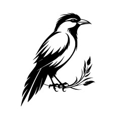 Majestic Bird Silhouette: Elegant Black and White Avian Artwork