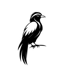 Majestic Black Bird: Elegant Vector Silhouette of a Bird Perched on a Branch