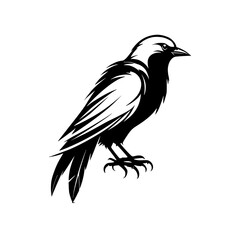 Fototapeta premium Majestic Crow: Black Bird Silhouette Vector Graphic