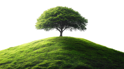 Solitary Tree on a Hill: A majestic green tree stands tall on a rolling green hill, symbolizing resilience, growth, and hope. Its branches reach for the sky, creating a sense of peace and tranquility.