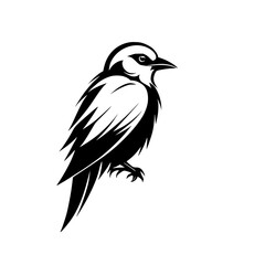 Black Bird Silhouette: Elegant Minimalist Vector Graphic