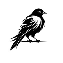 Obraz premium Majestic Crow Silhouette: A Stunning Black and White Bird Vector Graphic
