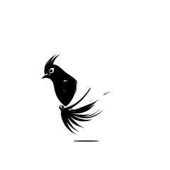 Black Bird with White Feather: Elegant Minimalist Animal Vector Graphic