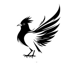 Elegant Black and White Bird with Wings Spread: Wildlife Vector Graphic